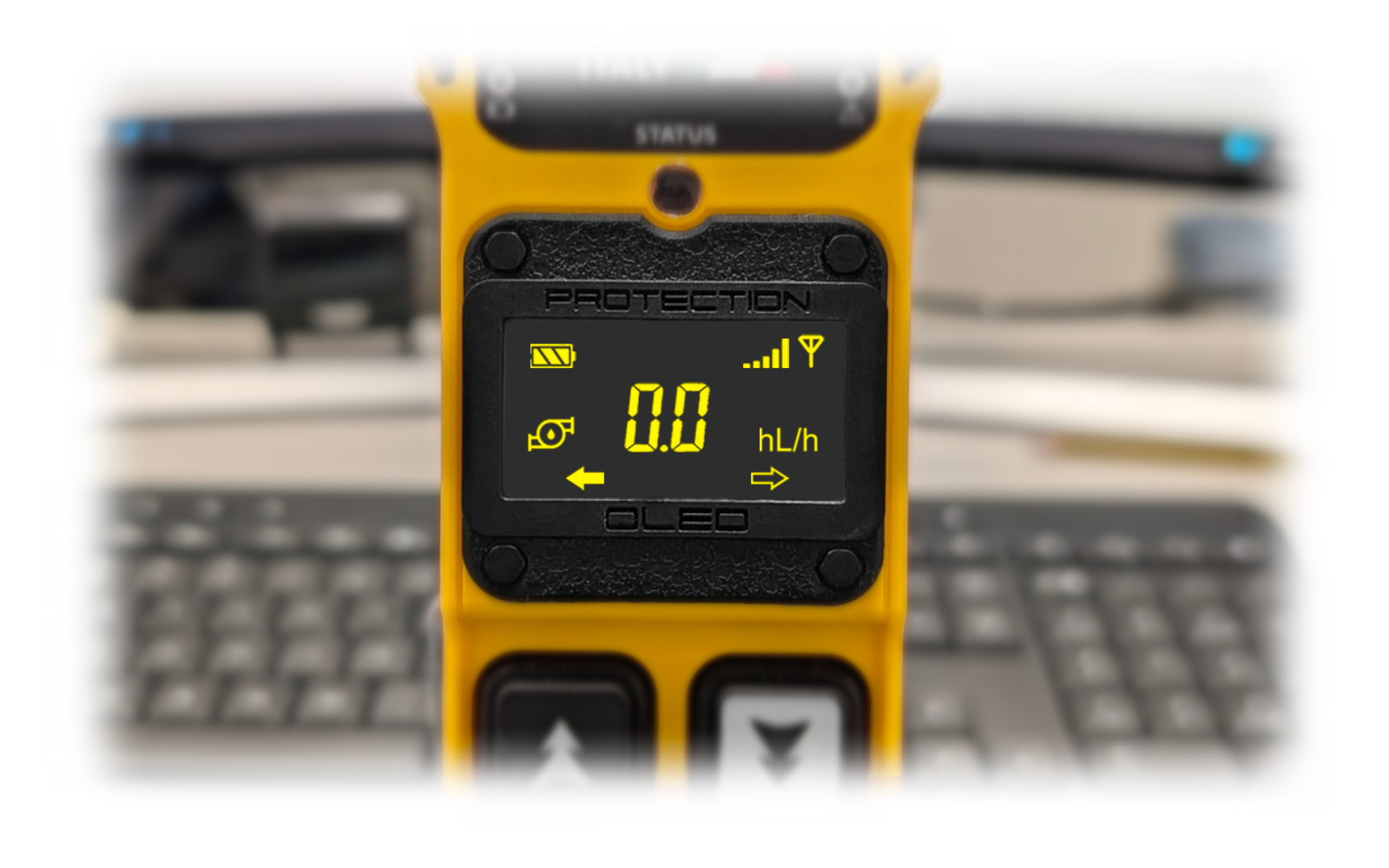 <H4>The OLED Display </H4>